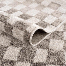 Load image into Gallery viewer, Benjy Beige Checkered Area Rug
