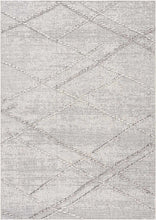Load image into Gallery viewer, Baqer Bone &amp; Taupe Area Rug
