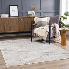 Load image into Gallery viewer, Baqer Bone &amp; Taupe Area Rug
