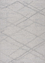 Load image into Gallery viewer, Baqer Taupe &amp; Gray Area Rug
