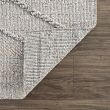 Load image into Gallery viewer, Baqer Taupe &amp; Gray Area Rug
