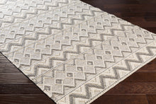 Load image into Gallery viewer, Antigo Wool Area Rug
