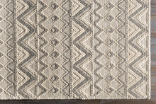 Load image into Gallery viewer, Antigo Wool Area Rug
